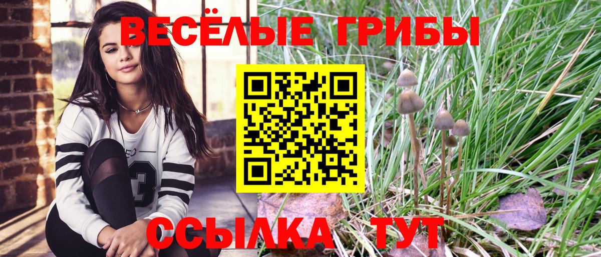 Галлюциногенные грибы ЛСД Добрянка