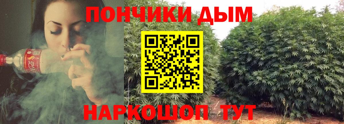 Конопля индика Добрянка